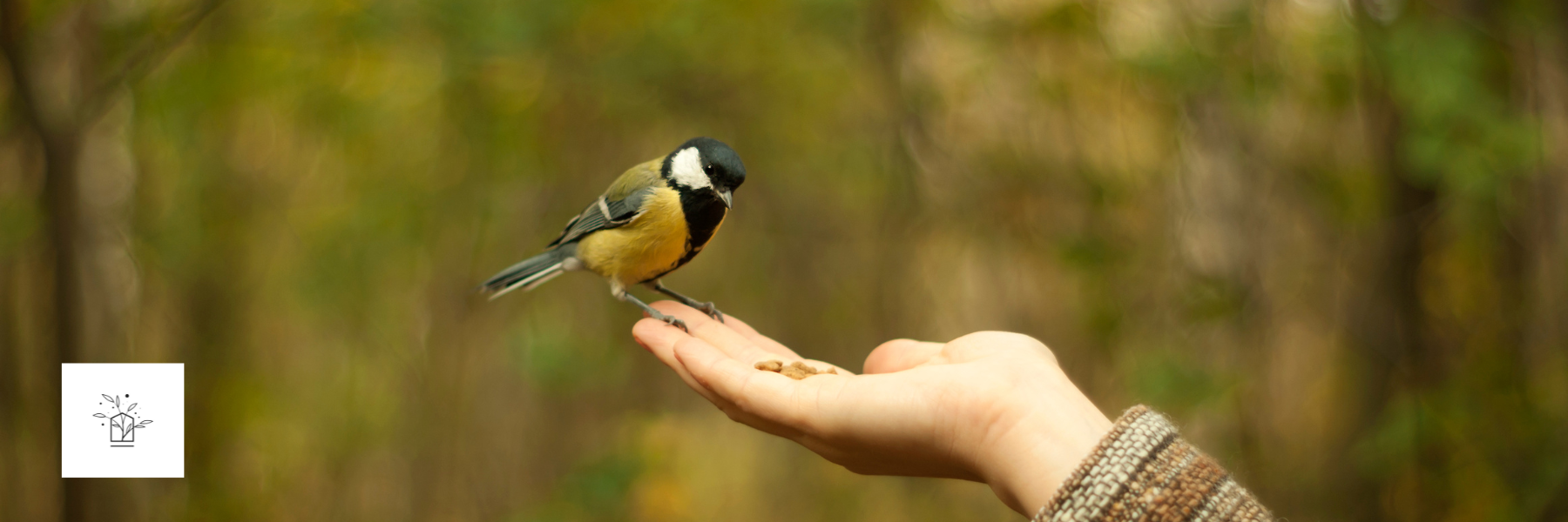 The Root: Volume 3, Issue 9 – The Impact of Trust